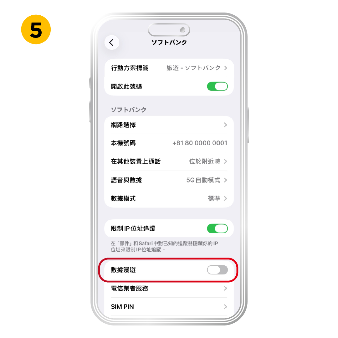 Turn on Data Roaming if the plan needs it