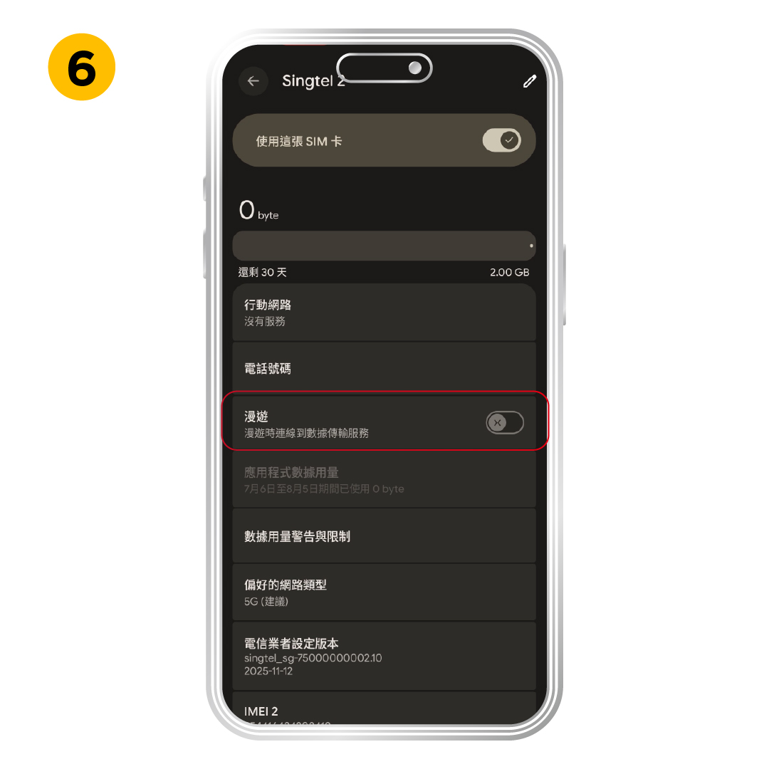 Turn on Data Roaming if the plan needs it